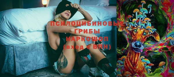 мдма Каменка